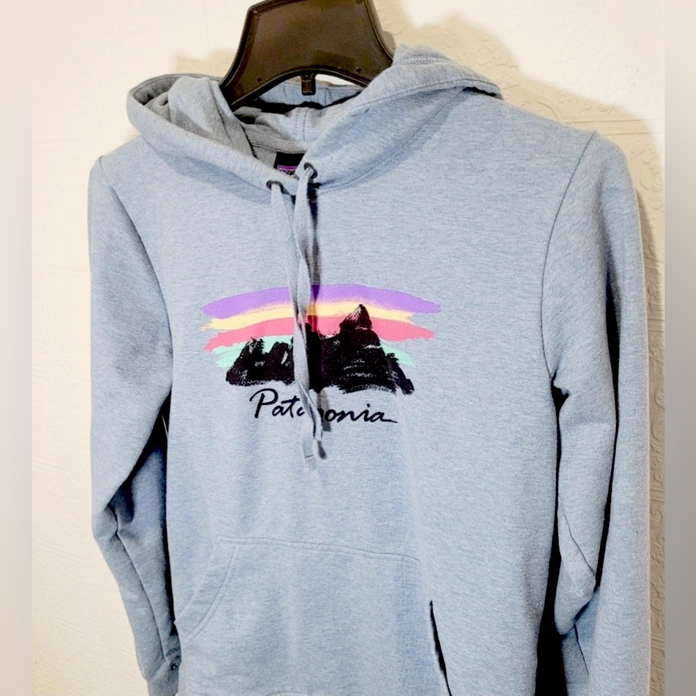 Patagonia Fitz Roy Hoody